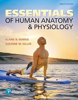 Essentials of Human Anatomy & Physiology 12th Edition PDF