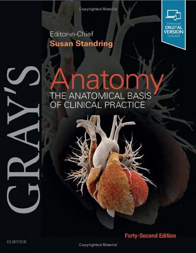 Gray's Anatomy: The Anatomical Basis of Clinical Practice 42nd Edition PDF